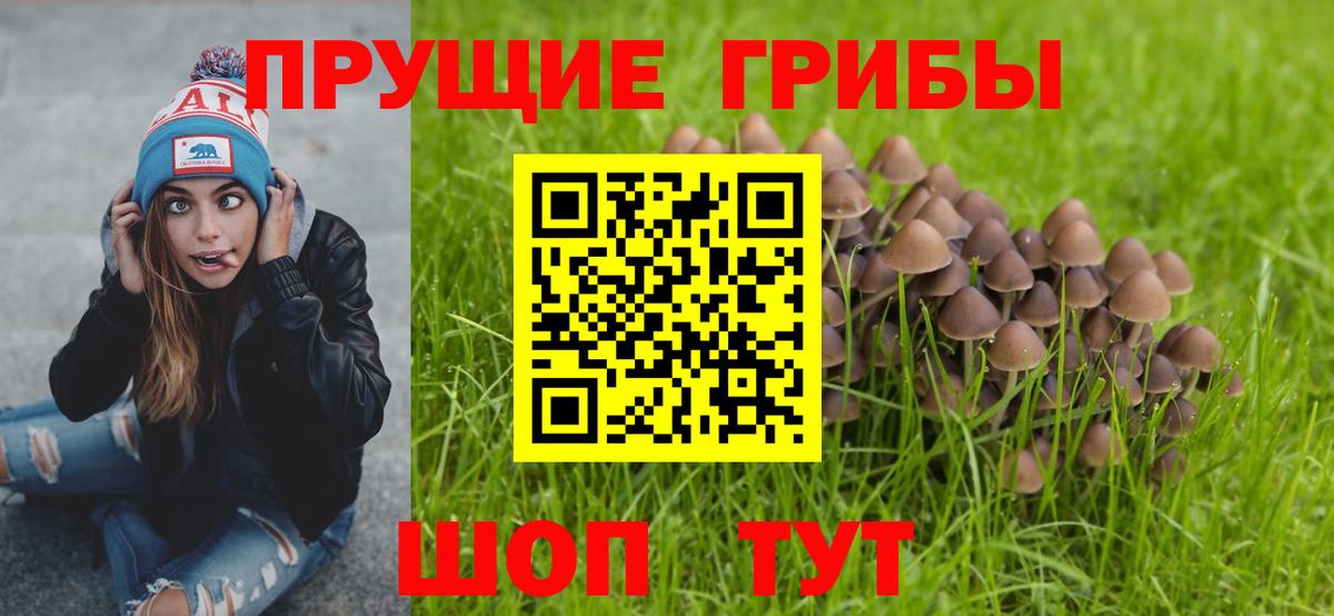 Псилоцибиновые грибы ЛСД  цена наркотик  Сердобск  Вход с VPN 